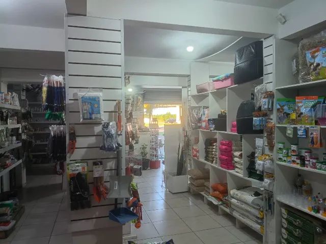Agropecuária em Canasvieiras - Foto 5