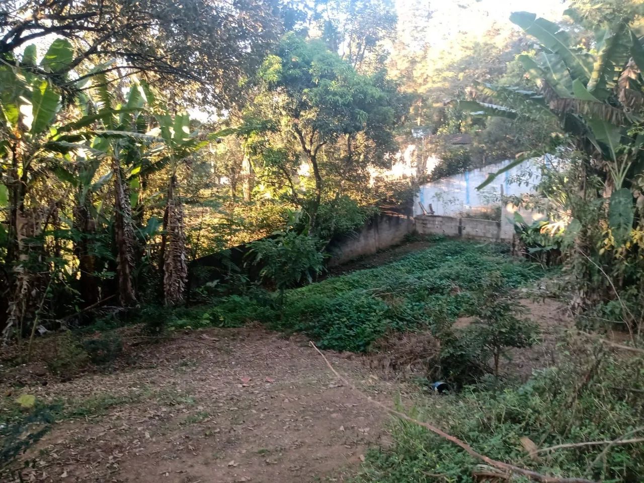 Chácara  Araçariguama  - Foto 4
