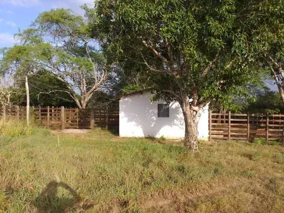 Excelente Fazenda com 38 hectares em monte alegre - Foto 4