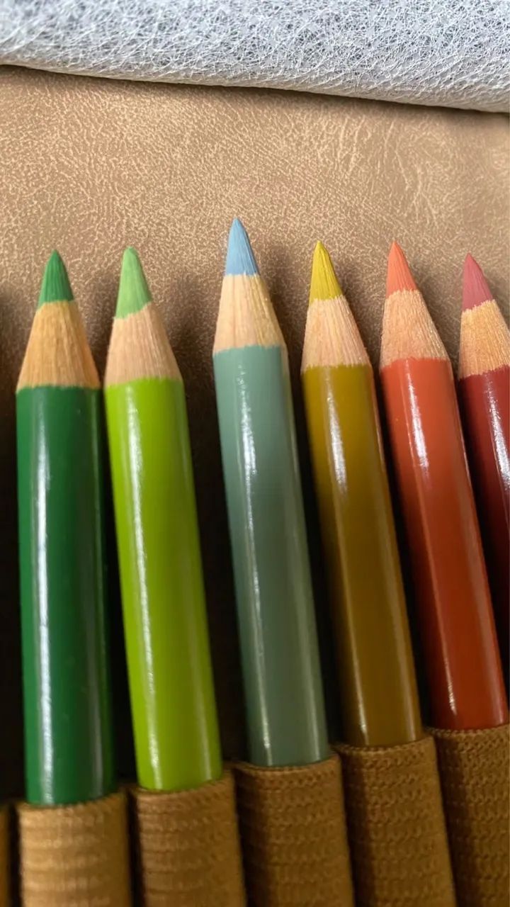 Polychromos Faber castell e estojo de enrolar - Foto 5