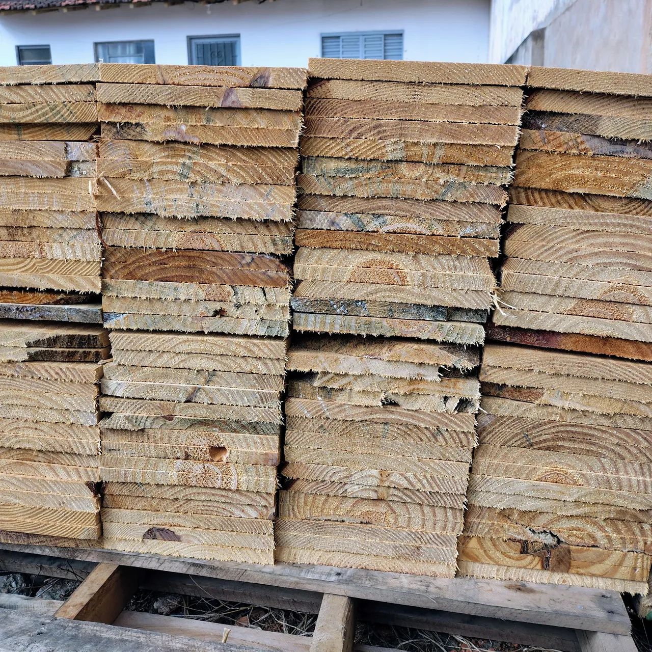 Tábuas de Pinus  - Foto 4