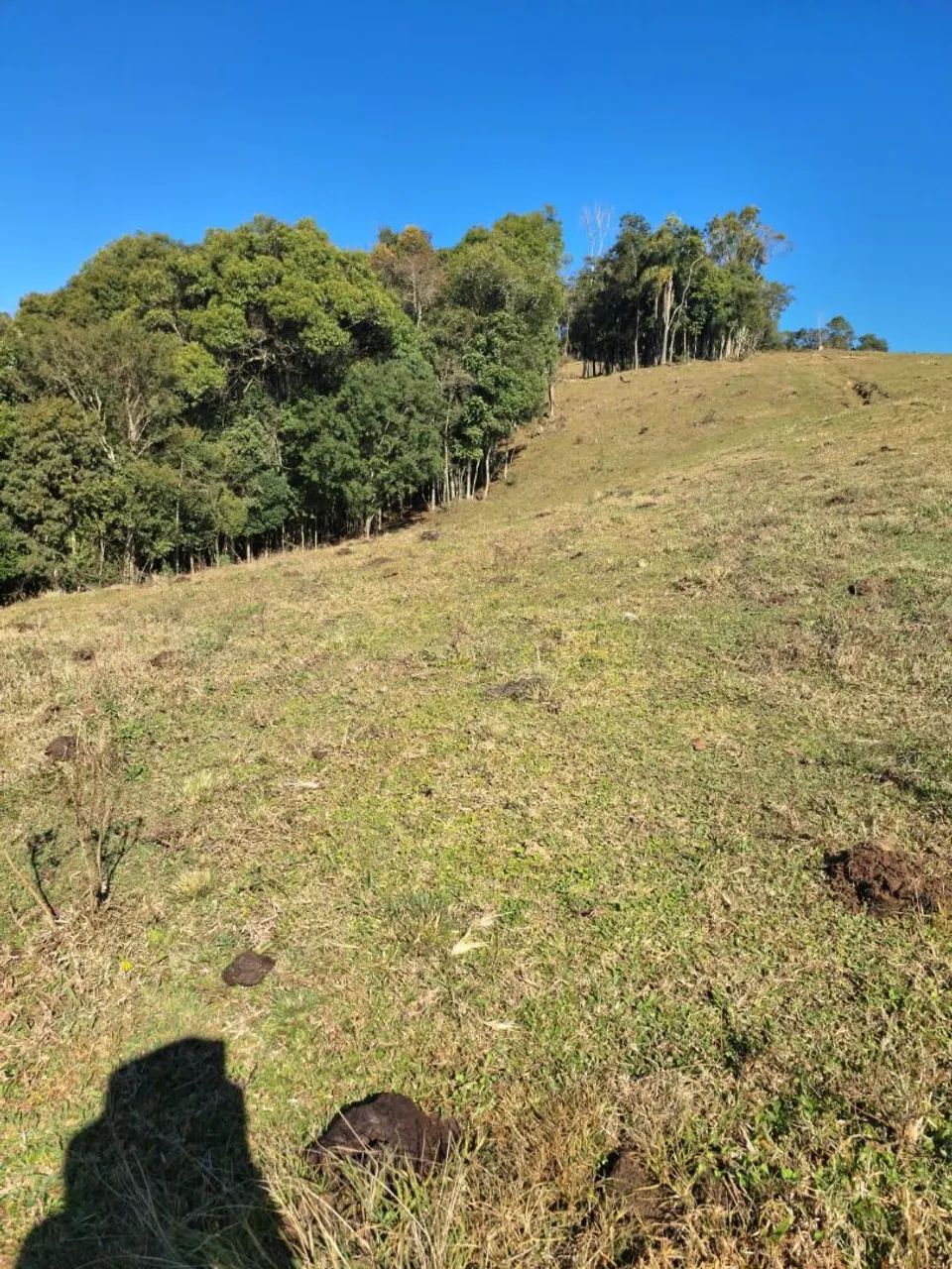Terreno em Alfredo Wagner  - Foto 3