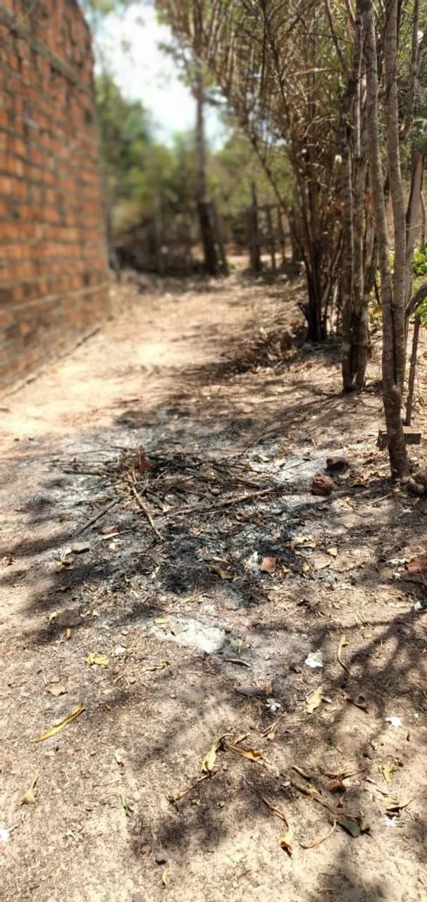 Vendo terreno em Morros  - Foto 3