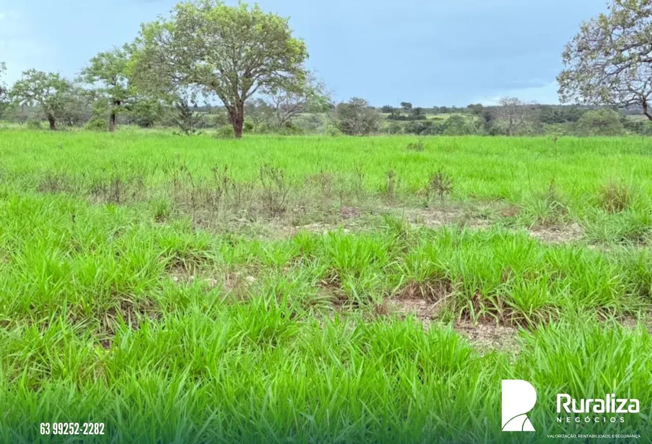 Fazenda Ideal Para Pecuária | Aceita troca Próximo a Araguaína. - Foto 5