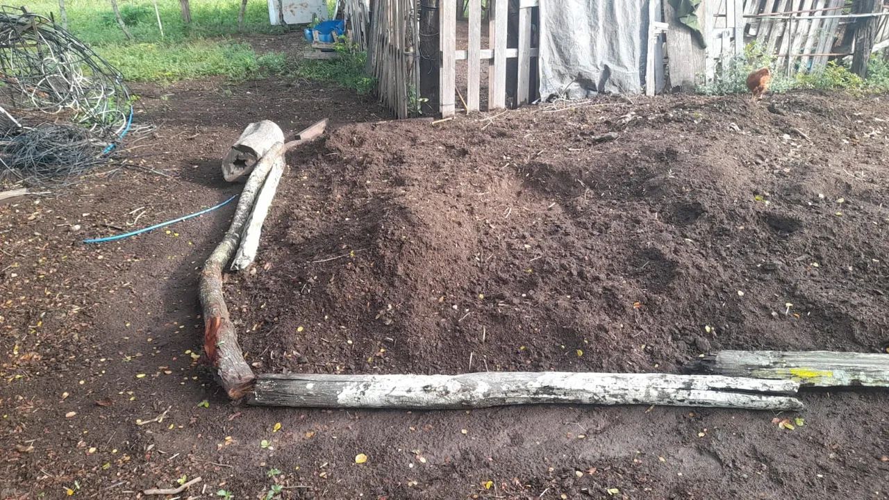 Esterco pra plantas e pra plantio. - Foto 2