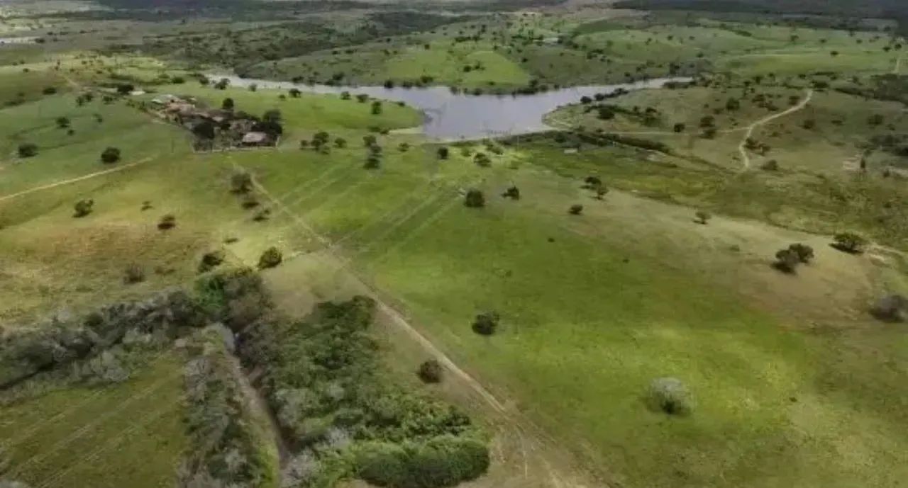 Fazenda Arapiranga a Venda 341 Hectares - Foto 2