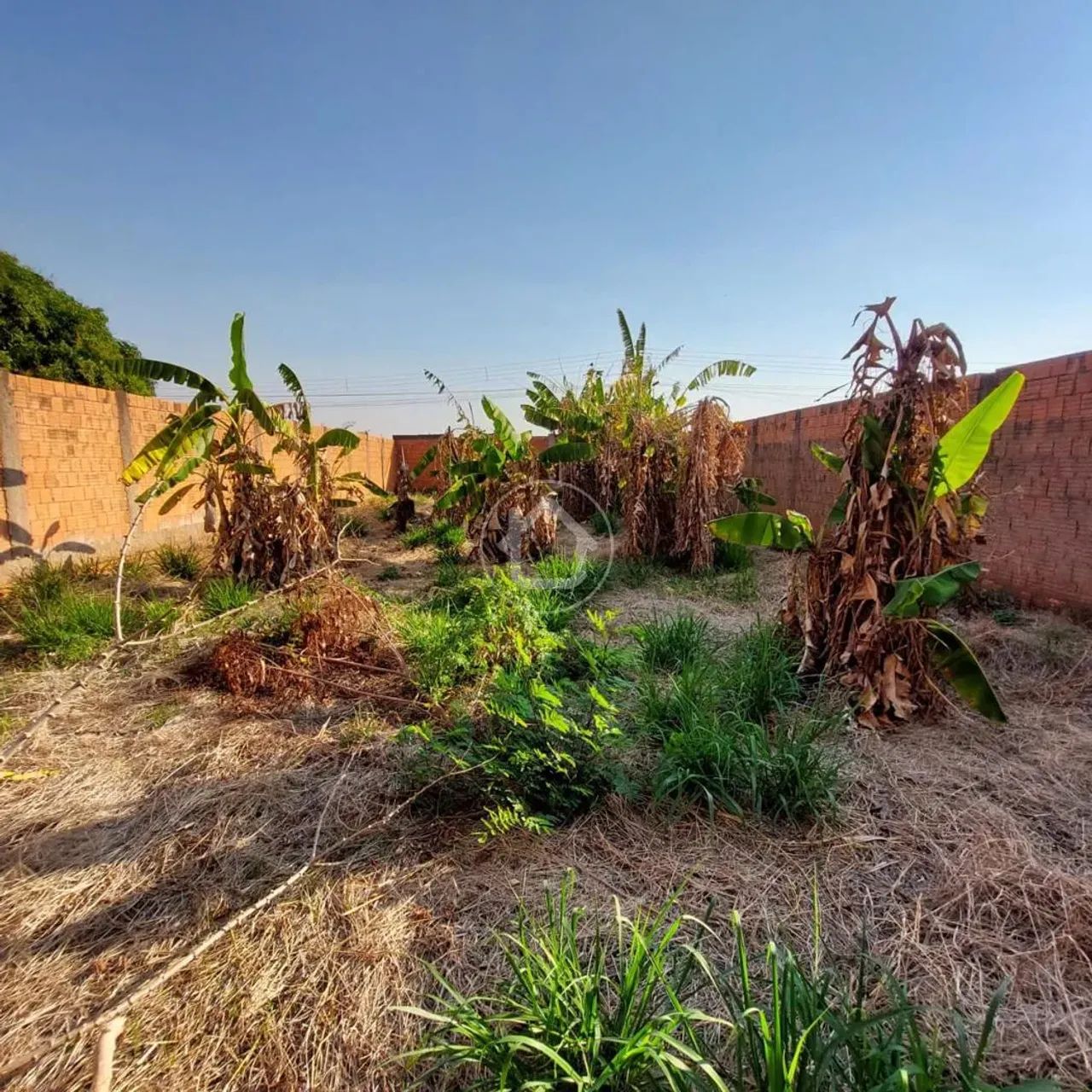 LOTE MURADO 12X30 EM NOVA LIMA - Foto 2