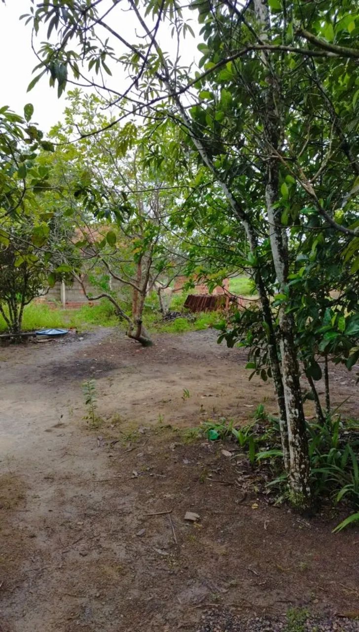 Sítio Venda - Foto 4