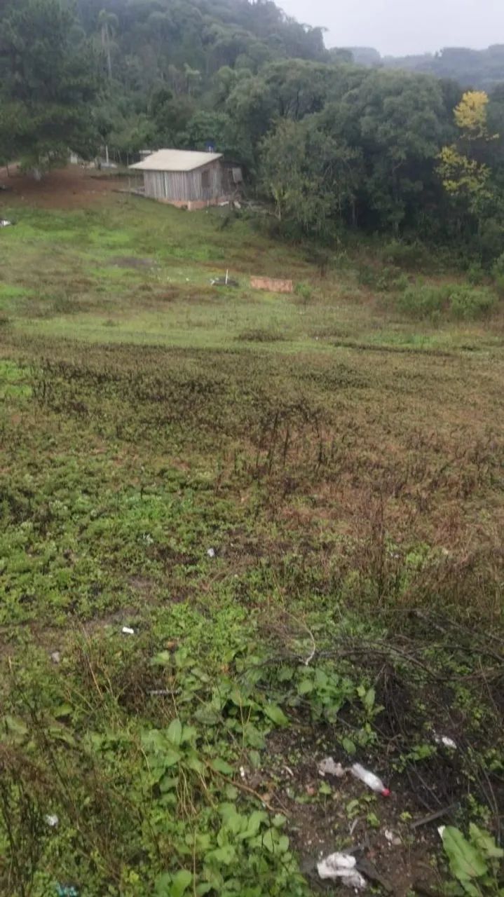 Vendo chácara em Mandirituba  - Foto 4