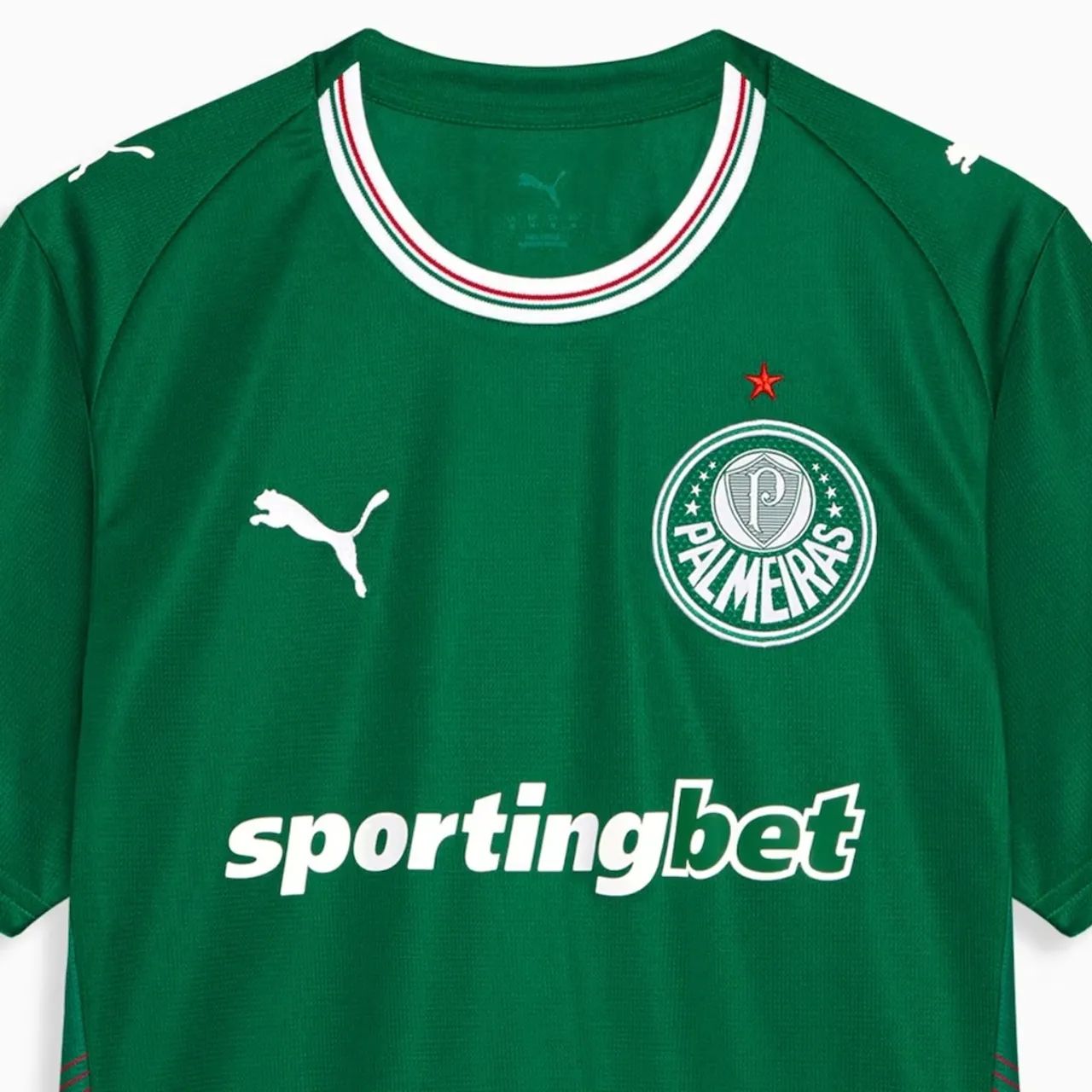 Camisa do Palmeiras Puma 2026 Uniforme 1 Torcedor  - Foto 3