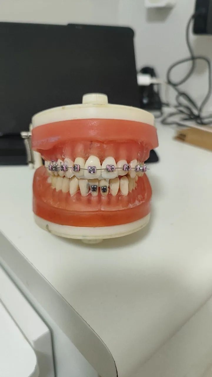 Manequim odontologia 