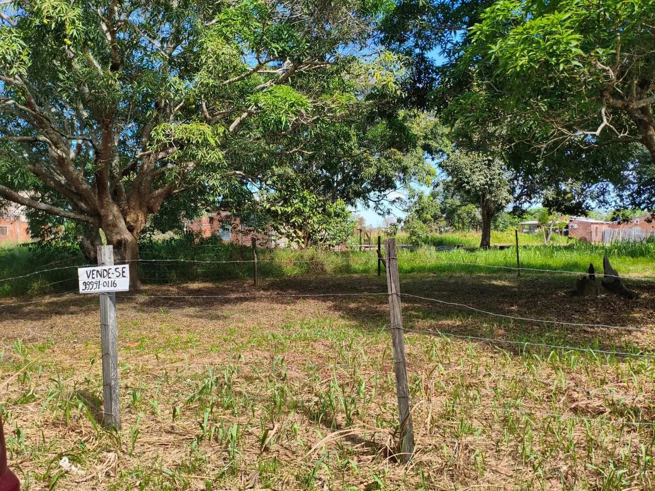 Terreno no ramal Bom Jesus  - Foto 5