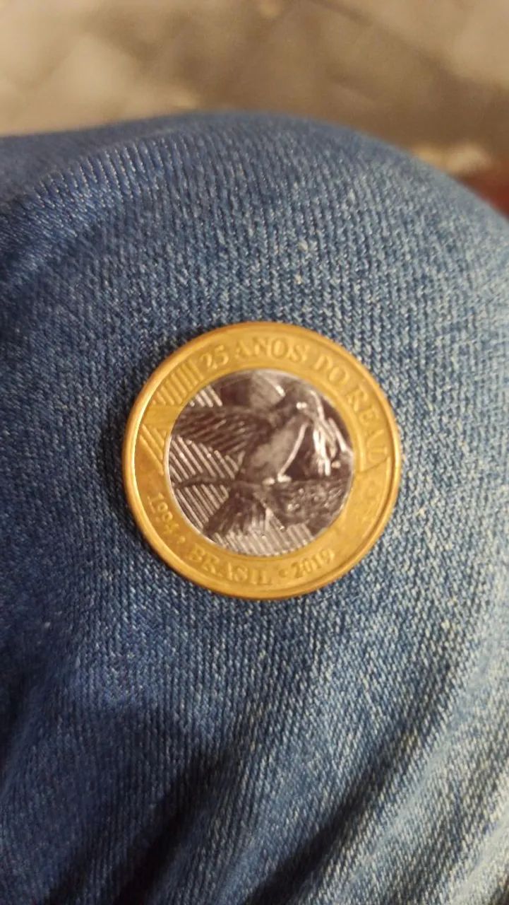 Moedas do beija flor - Foto 2