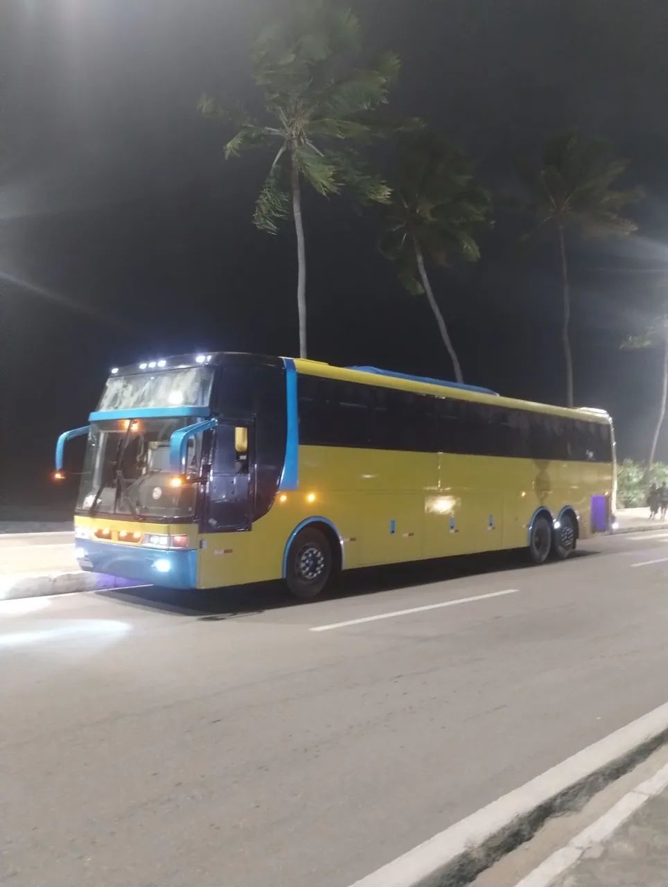 Ônibus buscar 113 ,,, programado  - Foto 2