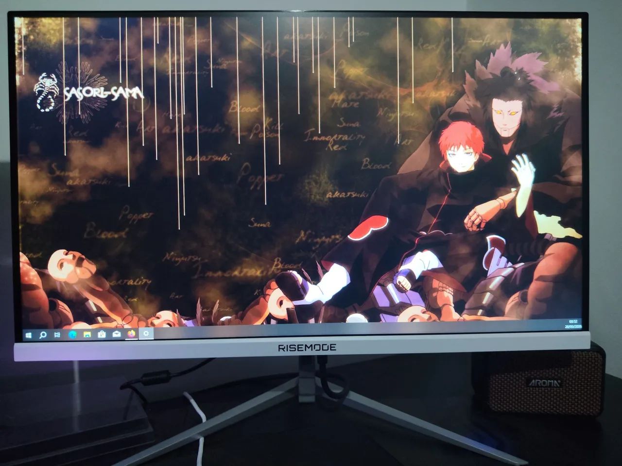 Monitor 24 pol