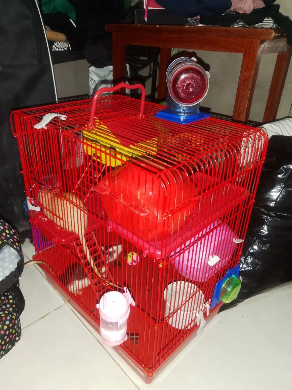 Rato Twister  - Foto 4