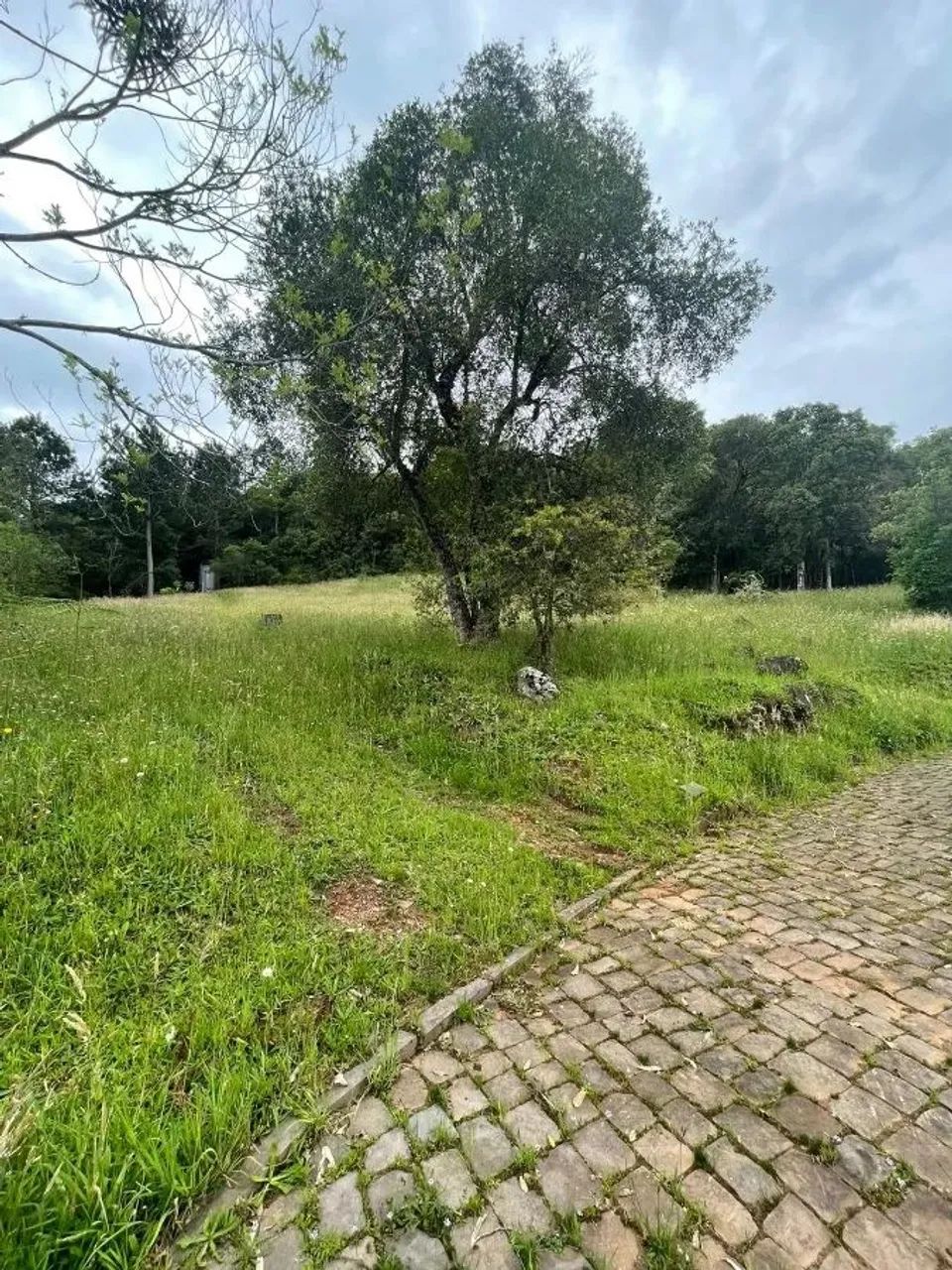 CAXIAS DO SUL - Terreno Padrão - LINHA 40 - Foto 9