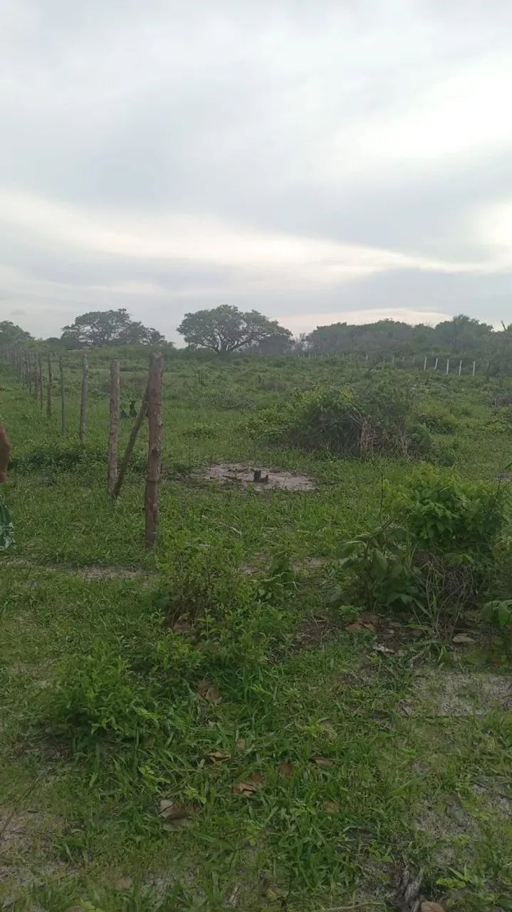 Venda de terreno  - Foto 5