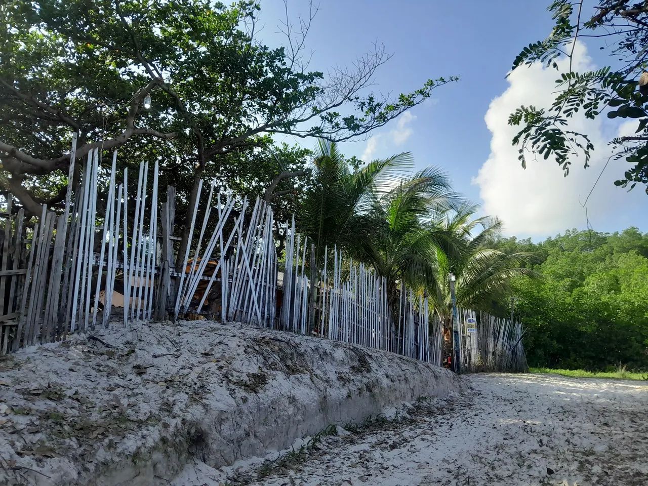 Casa na praia de Ajuruteua - Foto 3