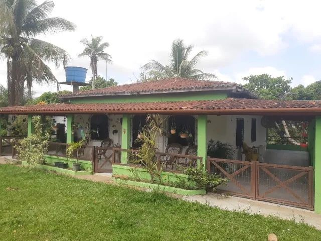 Sítio em local tranquilo e seguro com árvores frutíferas - Foto 3