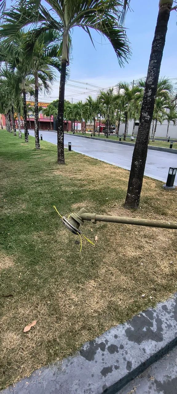 ROÇO E LIMPO TERRENO - ORÇAMENTO GRÁTIS! - Foto 3