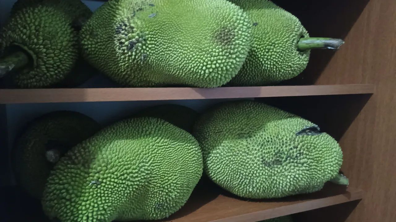 Vendo jaca madura 10 reais cada