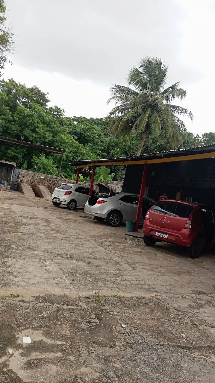 Precisa-se de Lavador/Arremate - Foto 4