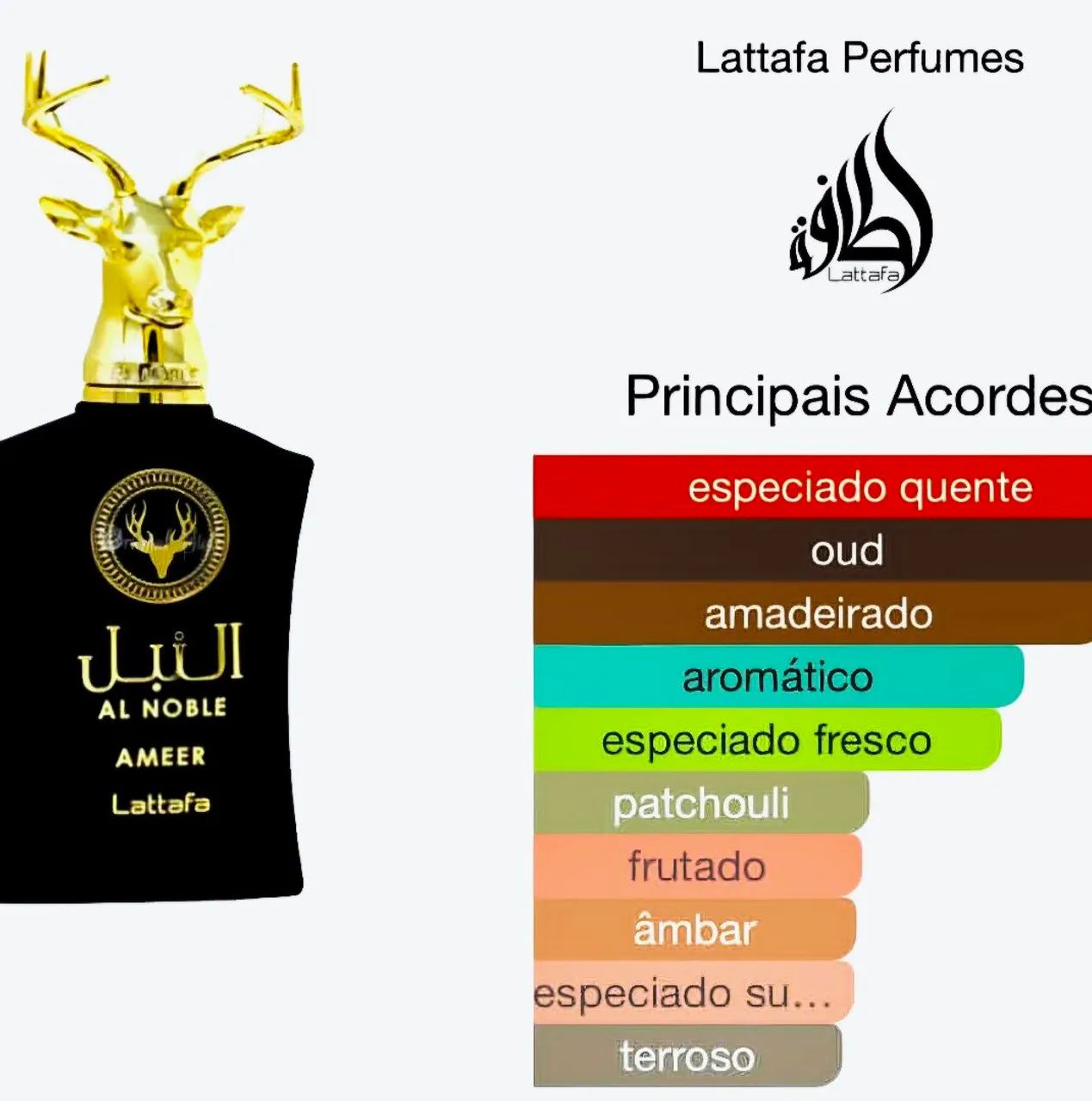 Al Noble Ameer _ Árabe  - Foto 3