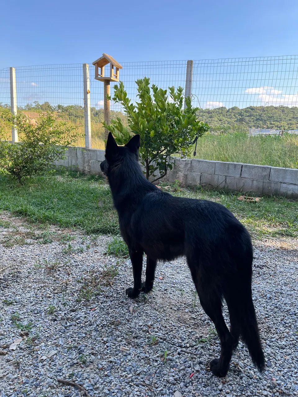 Troco chácara por caminhão 