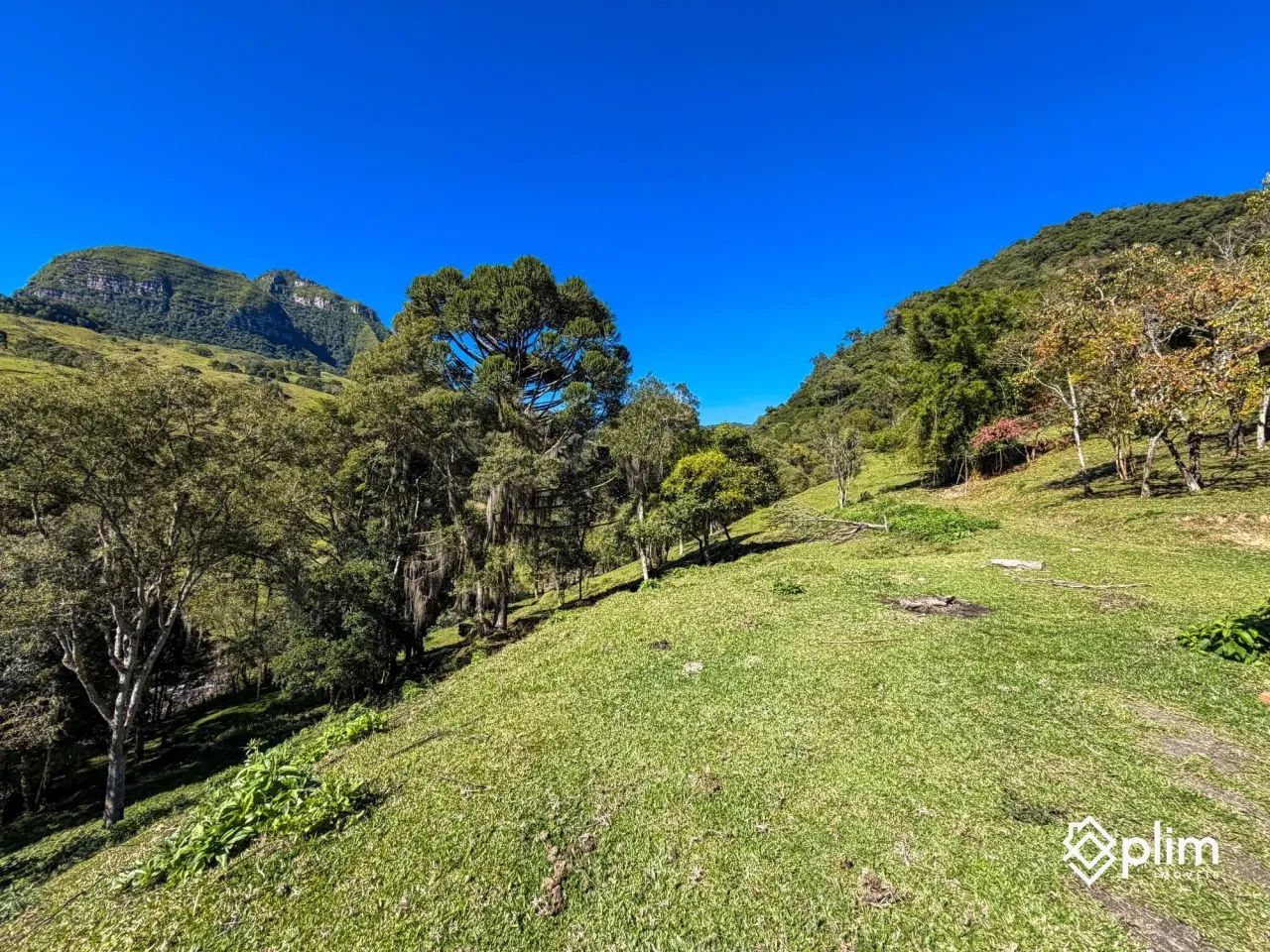 Sítio de 10 hectares com RIO na Pedra Branca  Alfredo Wagner, SC - Foto 5