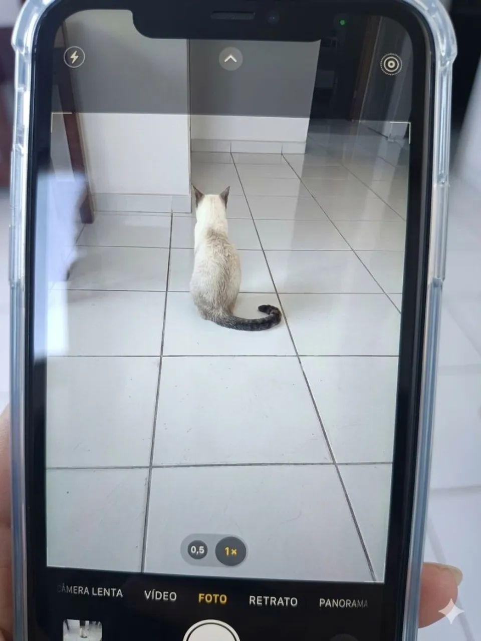 iPhone 11 - 64g - Foto 4