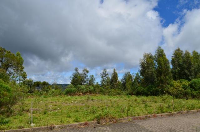 Terreno residencial à venda, vista do vale, canela. - Foto 2