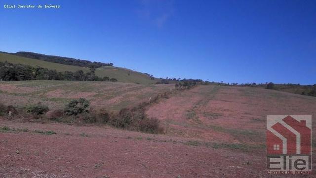 Fazenda para Plantio e Pastagem em Santa Terezinha - Foto 5