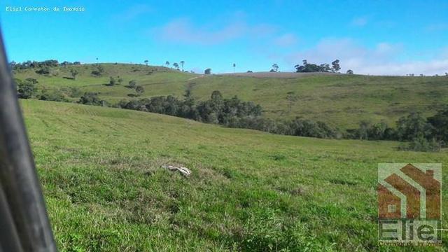 Fazenda para Plantio e Pastagem em Santa Terezinha - Foto 3