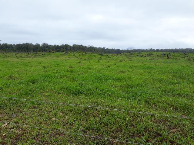 Fazenda Plana em Itapoá, Criação de Gado ou Plantio, Aceita Parte em Permuta