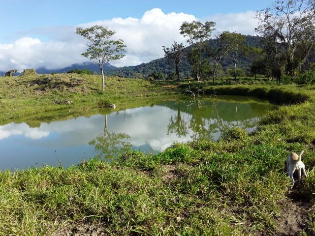 Sitio em Barro Preto-BA