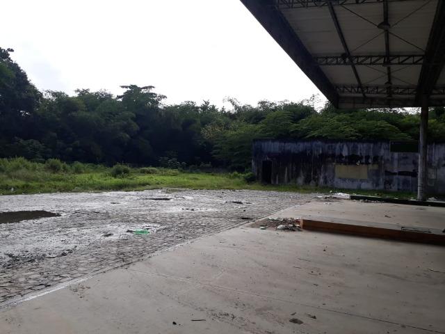 Terreno 5 hectares 100% plano px. do centro de Jaboatão velho - Foto 4