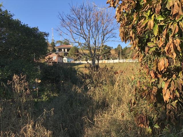 Terreno 1.539,65m2 - Foto 7