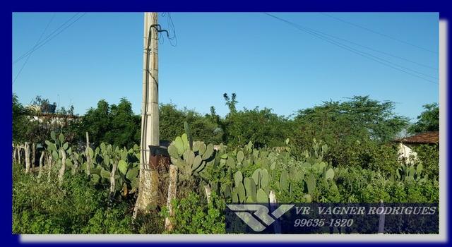 VR-Belíssima Fazenda 130ha com Estrutura, Localização Privilegiada, Valor Super Atrativo - Foto 14