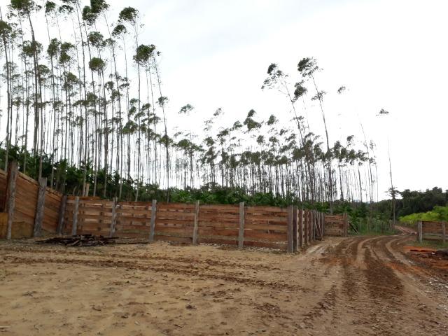Fazenda Plana em Itapoá, Criação de Gado ou Plantio, Aceita Parte em Permuta - Foto 12