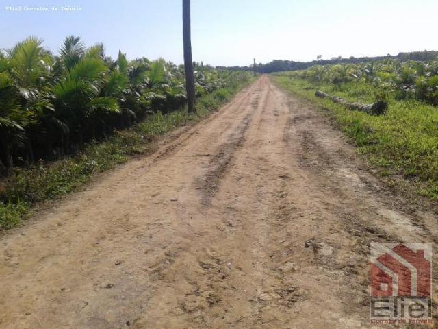 Fazenda Plana em Itapoá, Criação de Gado ou Plantio, Aceita Parte em Permuta - Foto 4