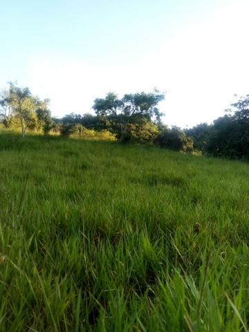 Sitio,granja de 11 hectare - Foto 4