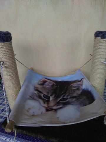 Brinquedo de gato com arranhador - Foto 4