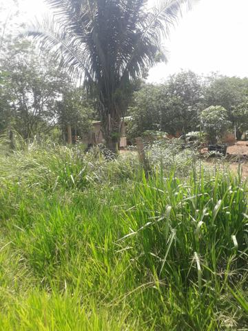 Terreno Bom e barato - Foto 2