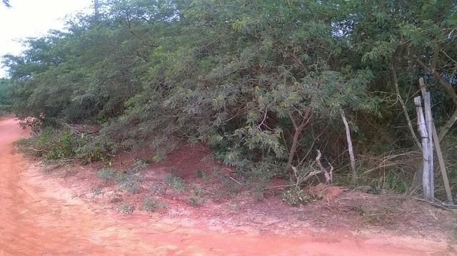 Vendo excelente terreno de 2.000m2 à 300m da Estrada de PIUM - Foto 6