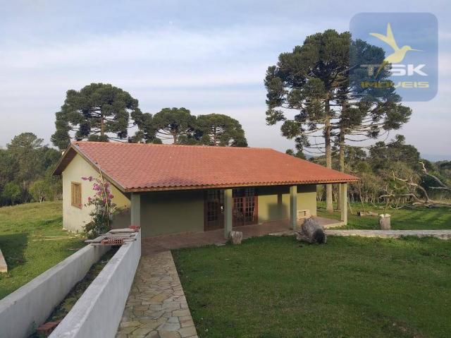 Ch0181 são josé dos pinhais chácara 4 alq. plana 950 m² construído 33 km ctba - Foto 3