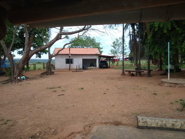 Fazenda - Foto 7
