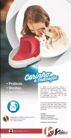 Bedouroa Felino Fonte Tobo Automático Cães e Gatos