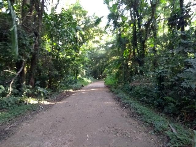 Terreno medindo 17 mil metros com rio e documentação - Foto 11
