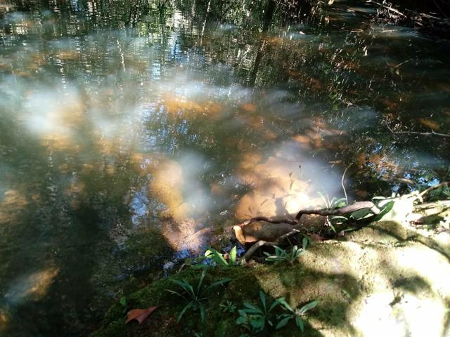 Fazendinha 30.000 mil m2, ótima localização em Três Marias. - Foto 10